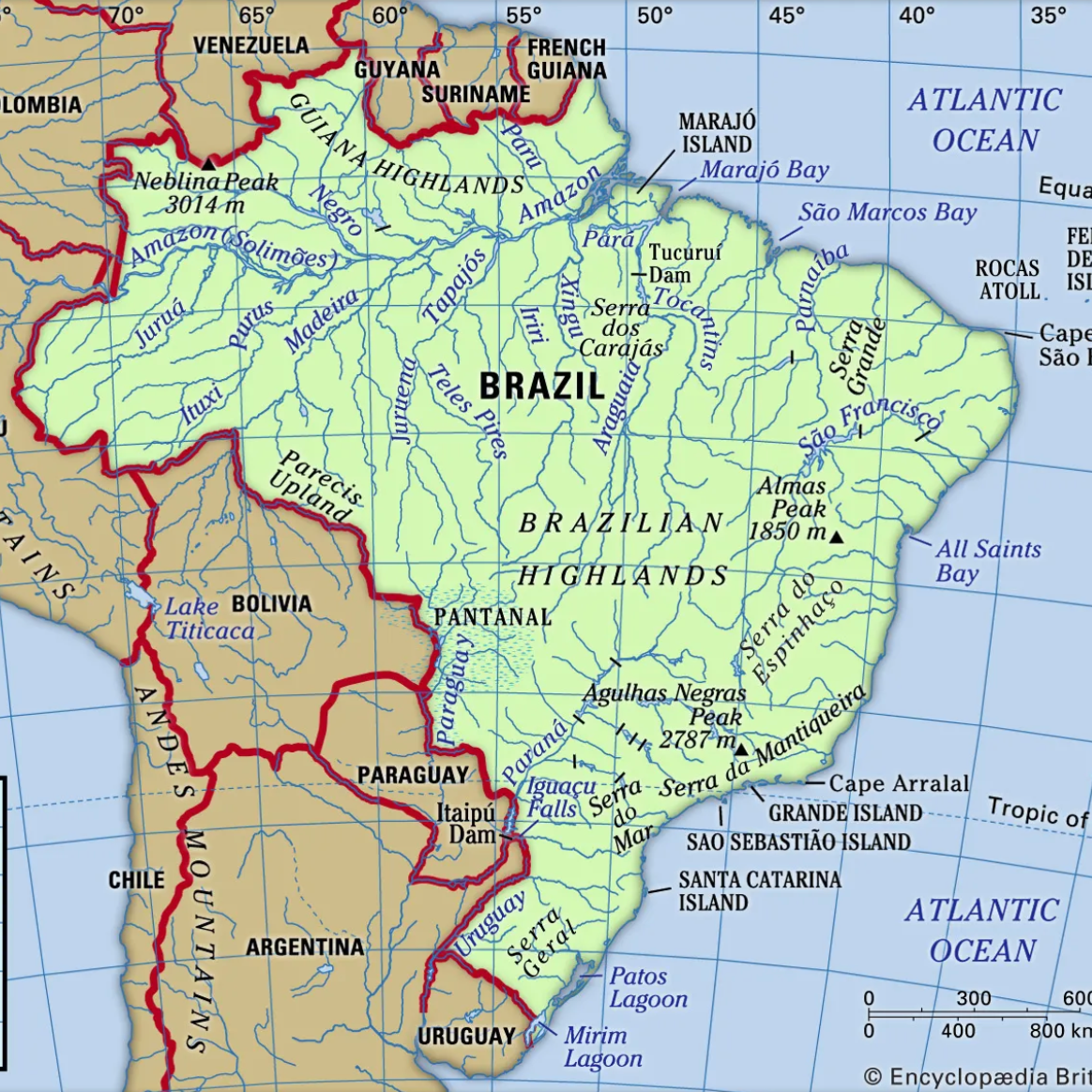 Green Coffee (BRAZIL - Alta Mogiana #38978)